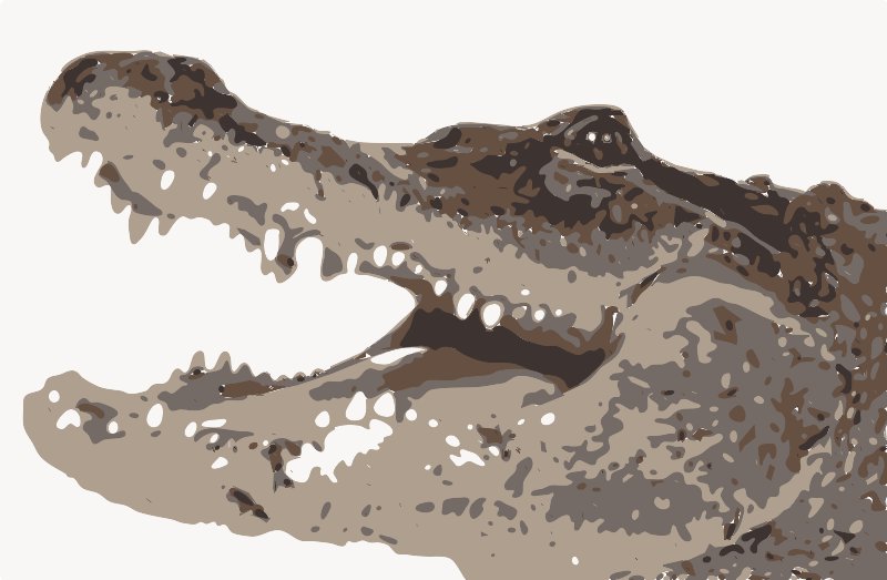 Stencil of Alligator