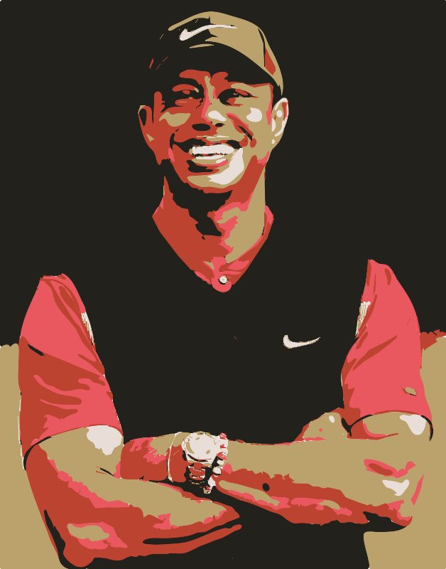 Stencil of Tiger Woods